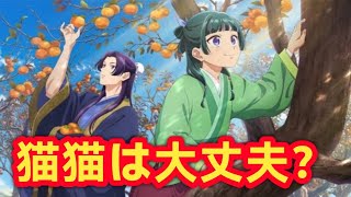 薬屋のひとりごと実写ドラマ化で賛否 なぜここまで意見が割れた