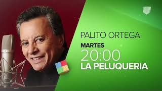 Incorrectas - PROGRAMA COMPLETO (19/08/2019)