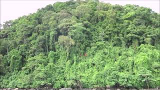 Download Lagu Satang Santubong ocean trip 1080p 1 MP3 Download Lagu Satang Santubong ocean trip 1080p 1 MP3