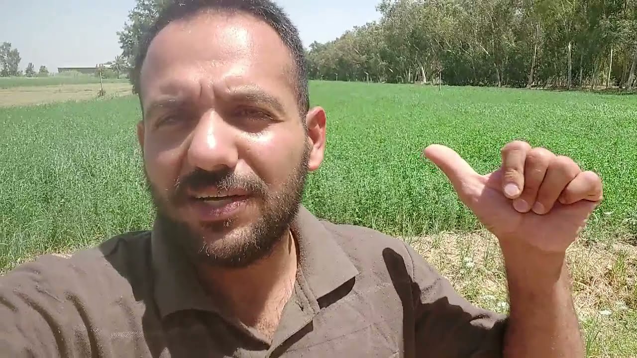 فلوك رقم 3 زراعة الجت دراسة كاملة من الزراعة حتى الحصاد الاخطاء والحلول