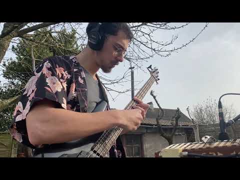VULPES VULPES :::