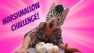 Fun Marshmallow Challenge!! Marshmallow Test!! Marshmallow Experiment!! Will Miss Christy Make It?!!