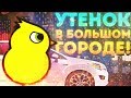 УТЁНОК В БОЛЬШОМ ГОРОДЕ! - Duck Life 4