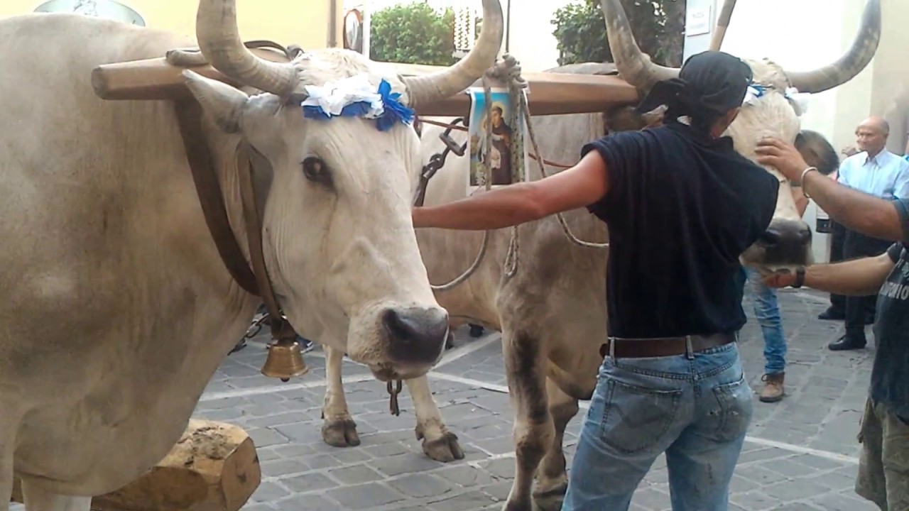 FESTA S.ANTONIO  LAINO BORGO 2016