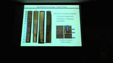 Using #Carbon #Isotopes in Tree Ring to Infer Past Disturban