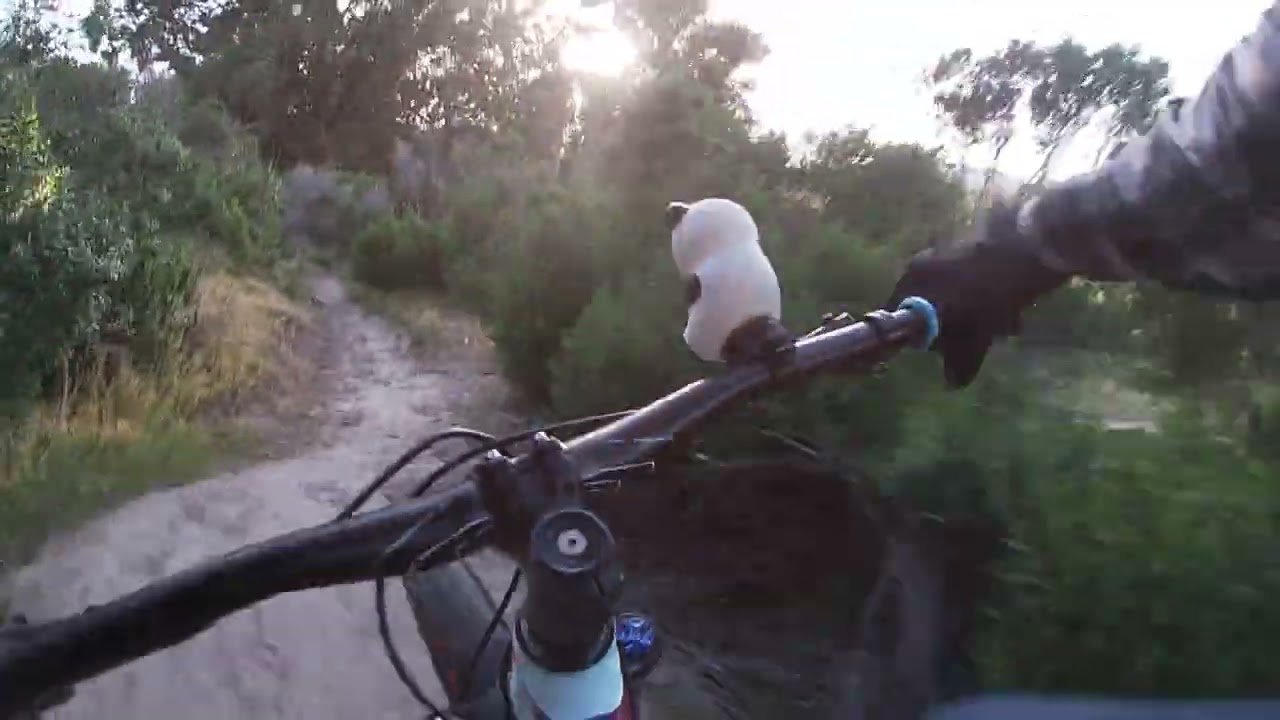 triangle mtb road gap line