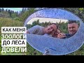 А мы уйдём на Север! В Карелию с @ZooLogovo