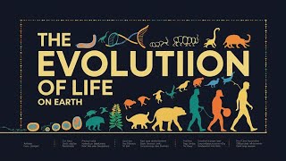 The Evolution of Life on Earth: From Single Cells to Complex Organisms