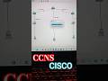 Cisco Packet Tracer Beginner Setup with Aesthetic Background Music | Full Working Demo 🎵 🔥 #cisco