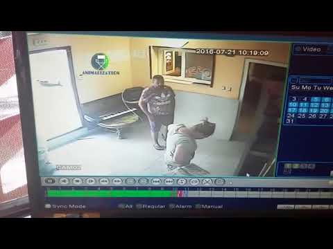 gypsy  stealing chain saw from pawnshop