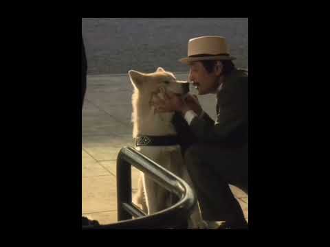 Hachiko: The Loyal
