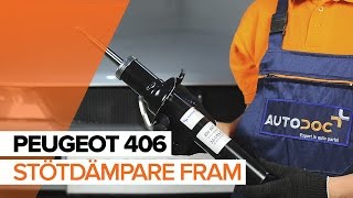 Hur byter man Komplett fjäderben PEUGEOT 406 (8B) - videoguide