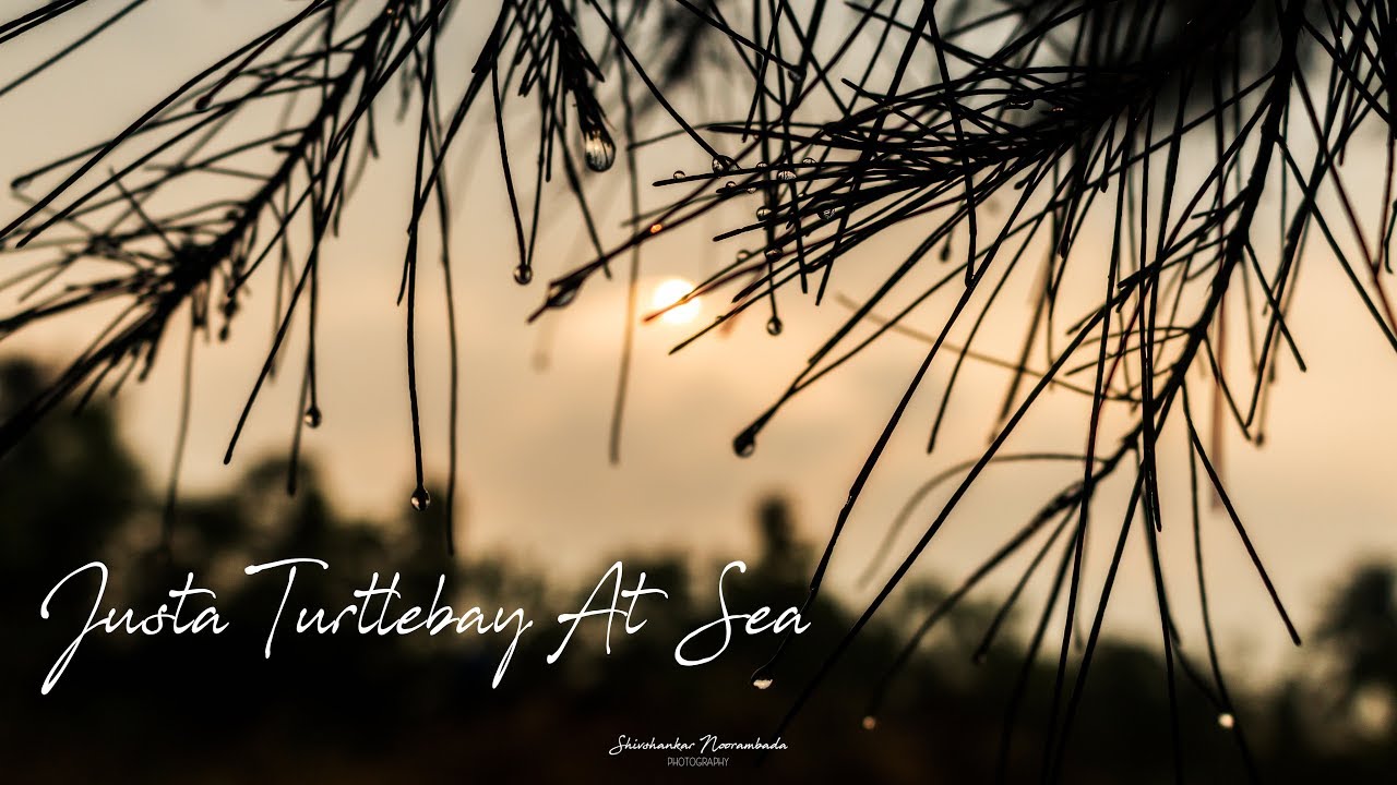 Weekend at Justa Turtlebay at sea | Trasi | Udupi | Travel Diaries | DC Cinemas