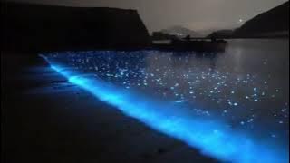 Dreams From Bunker Hill - Cigarettes After Sex (Instrumental)