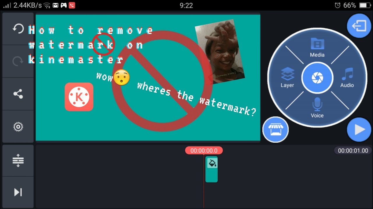 Kinemaster remove watermark bapjordan