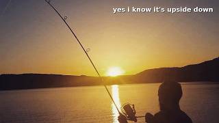 Reel Talk! How to Choose a Carp Rod (Test Curve, Length, Guides Explained)