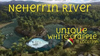 Neherrin River Unique White Crappie