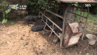 순간 포착 세상에 이런 일이 Ep.759 #8(5)