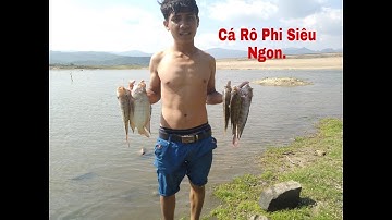 A Hữu ! Đi Đánh Lưới Gặp Toàn Cá Rô Phi Khủng.