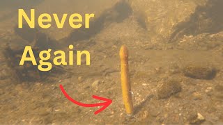 You'll NEVER fish the NED rig the same AGAIN! (Modifications to catch more fish)