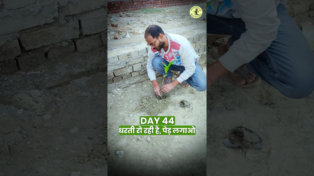 Aaj ek ped… kal ek zindagi 🌳| Day 44 