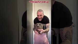 My Cute Dog #pitbull #bestfriend #pitbulllove #cutepitbull #lovestory #cutedog #cute #pitbullstory