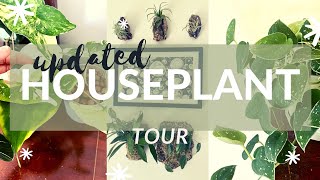 UPDATED HOUSEPLANT TOUR | Fall 2020