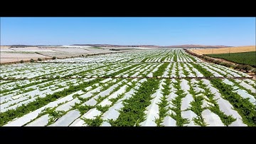 Control of the entire production with SAP Business One