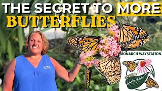 How To Create A Pollinator Paradise 💐 Monarch Butterfly House Update Supporting Pollinators Volunteer Gardener