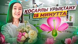 картинка: Қосарлы ұрықтану | ҰБТ  Биология 2026 | ЕНТ