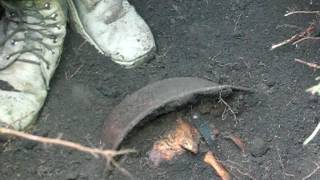 1 часть Нашли немецкого солдата с жетоном в Маяцком лесу 1 часть Нашли немецкого солдата с жетоном в Маяцком лесу