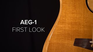 Baggs AEG-1 | First Look