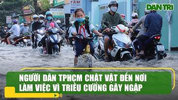 Người dân TPHCM chật vật đến nơi làm việc vì triều cường gây ngập