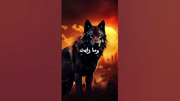 حكم وأقوال ملهمة عن الحياة حياة أقوال حكم إلهام تحفيز نصائح حياتية 