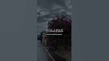 ياسر الدوسري سورة الملك