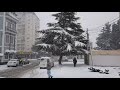 В Лазаревском ЗИМА!!!  Метель, пурга, цветы в снегу и t - 3°C - все это ЮГ, Сочи!!! 16 февраля 2021