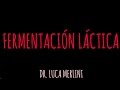 Fermentación Láctica