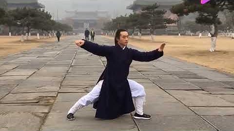 二十四式太极拳 - Thái cực quyền 24 thức - Taichi