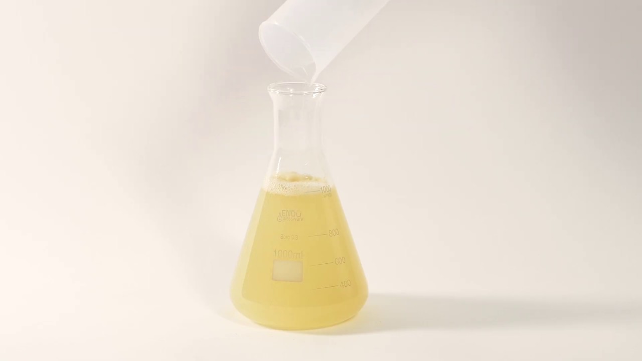 Preparation of culture media YouTube