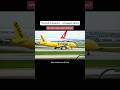 Who Replaces Spirit Airlines Now? #frequentflyer #spiritairlines #traveltips #airlines