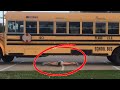 Woman Skates Under Bus | Best Videos Of The Month