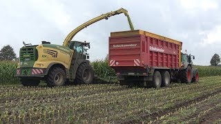 Mais hakselen met Krone Big X 780 en 10 rij XCollect 750-3 van LU Schoemaker (2019)