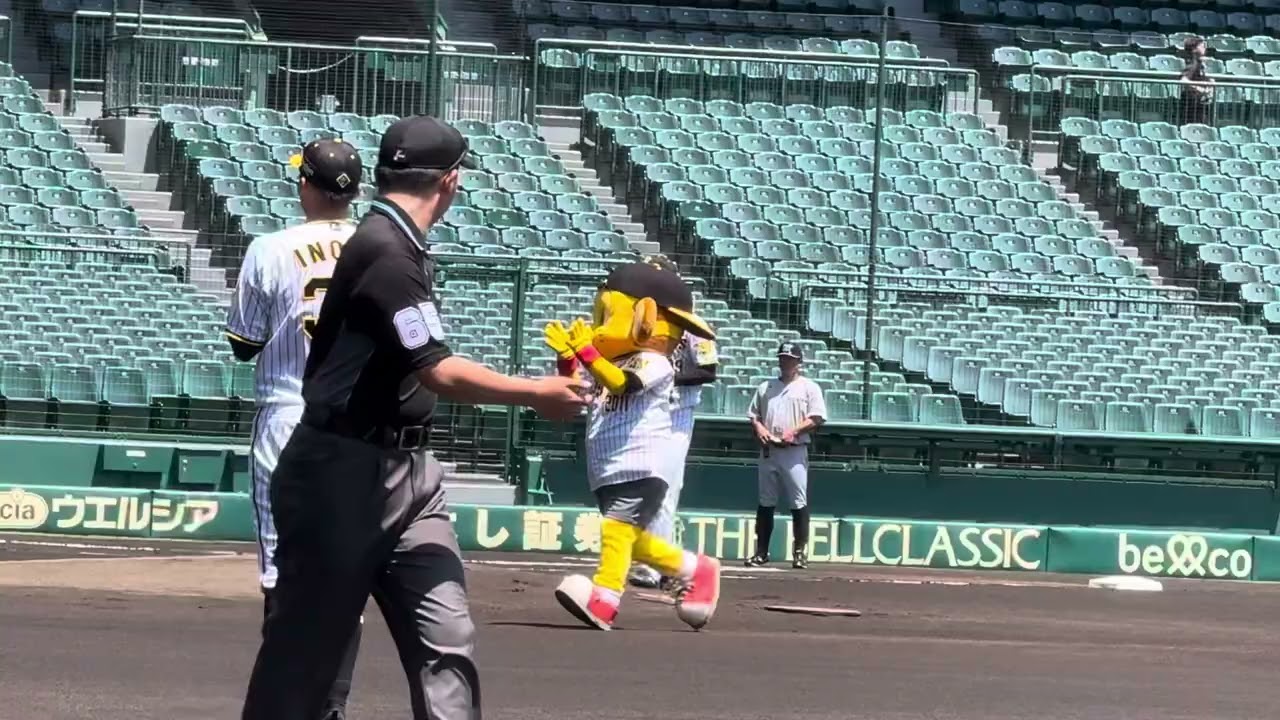 ちっひー始球式　@ファーム