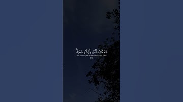 سورة لقمان - الآية 34 - تلاوة علي جابر