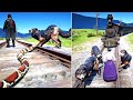 RDR2 All Animals Attack - [Main Animal/Event] | Epic Wild Moments"Ep.13