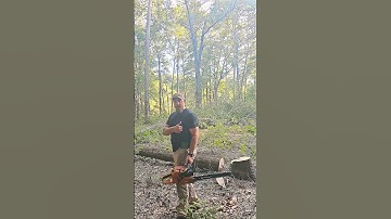 Cutting an Oak WITHOUT WEDGES #howto #treelife #arborist #treework