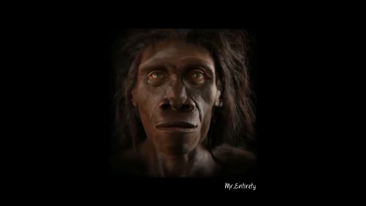 6 Million Years Of Human Evolution In 40 Seconds HD 