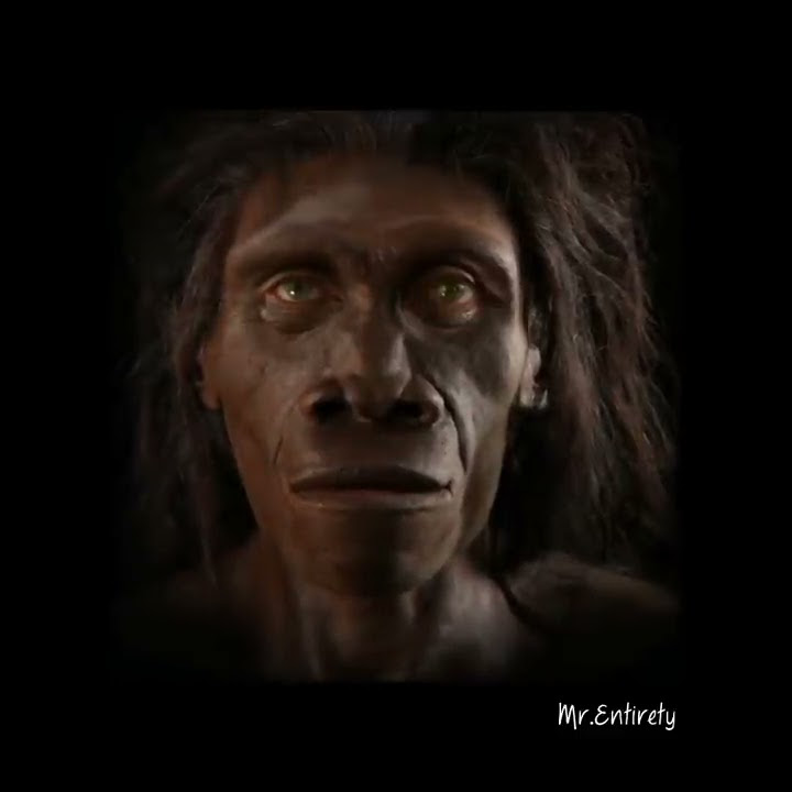 6 million years of Human Evolution in 40 seconds | HD |