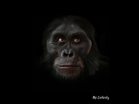 6 million years of Human Evolution in 40 seconds | HD |