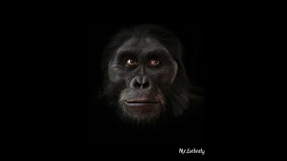 6 million years of Human Evolution in 40 seconds | HD | screenshot 2